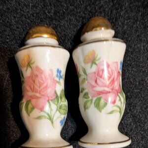 Porcelain salt and pepper shakers with floral design and gold trim